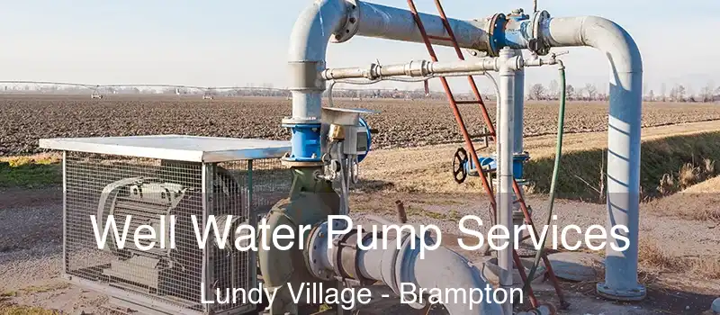  Well Water Pump Services Lundy Village - Brampton